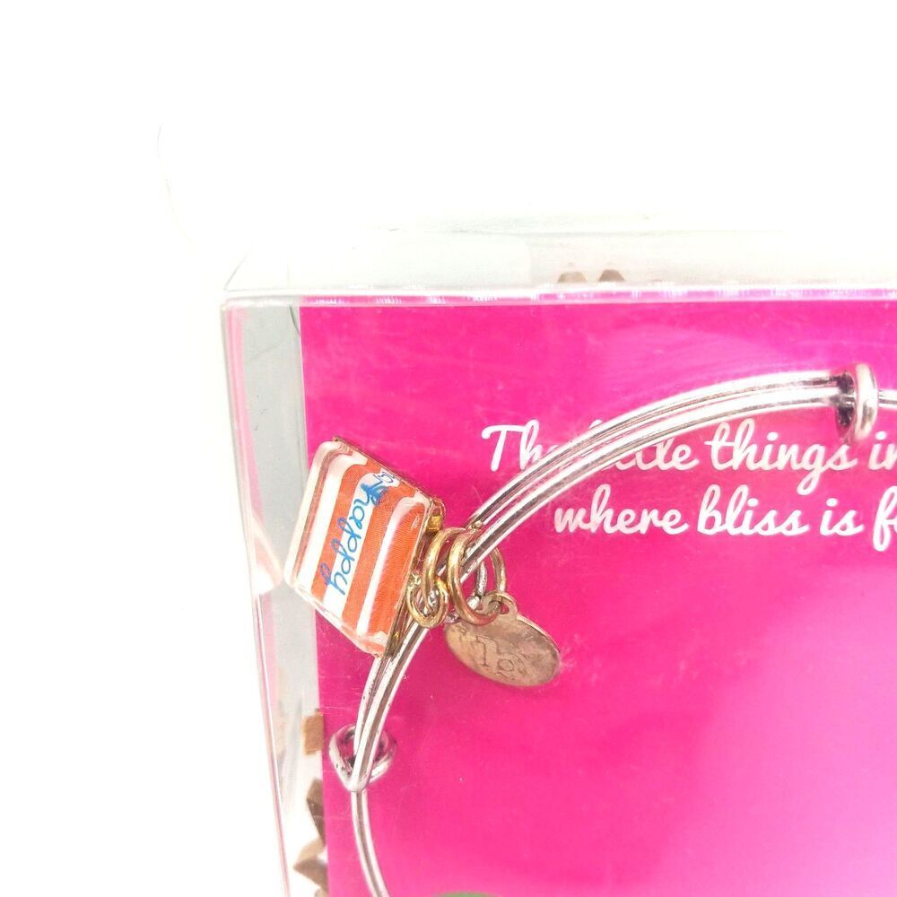 Bashful Bliss charm bracelet silver tone gift Mom Friend Memory